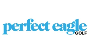 perfect eagle